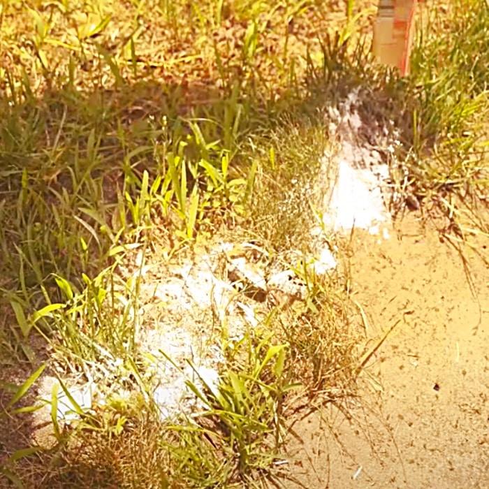 How To Get Rid Of Outdoor Ants - How Make Ants Leave - Get Rid Of Ants Easily