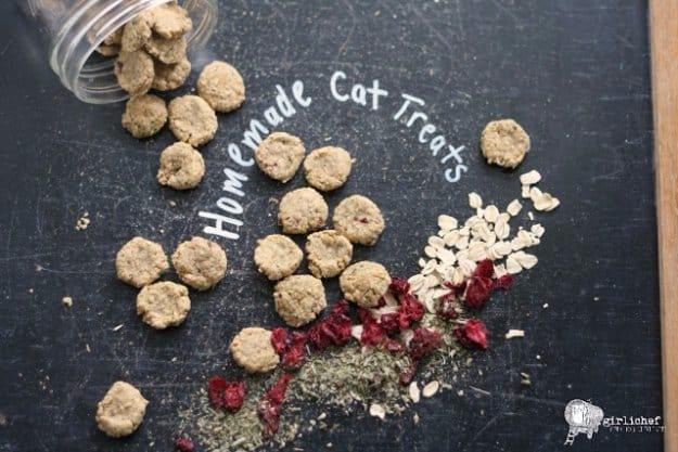 Homemade Healthy Cat Treats, easy to portion out for a food motivated pet and an easy pick for later