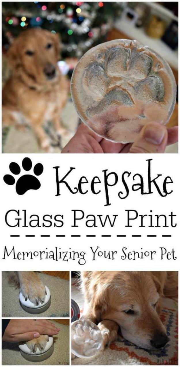 Collage titled Keepsake Glass Paw Print over a hand holding a cast glass disc with a golden retriever behind it
