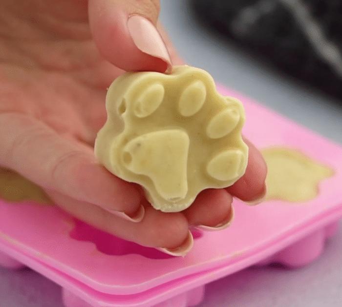 Easy Dog Ice Cream Recipe