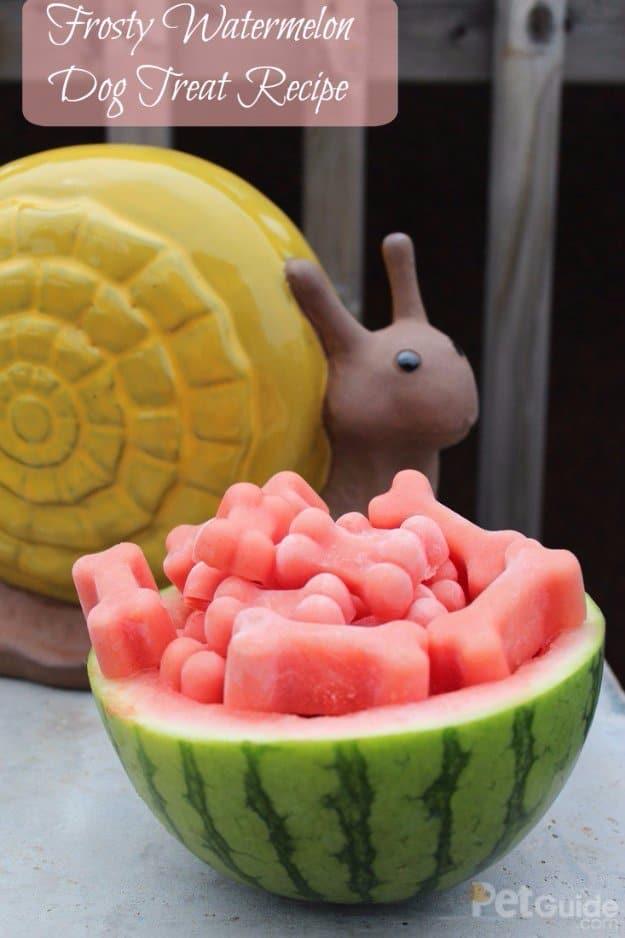 Frosty Watermelon Dog Treat Recipe, made without the fillers found in store bought bags and quick to put together