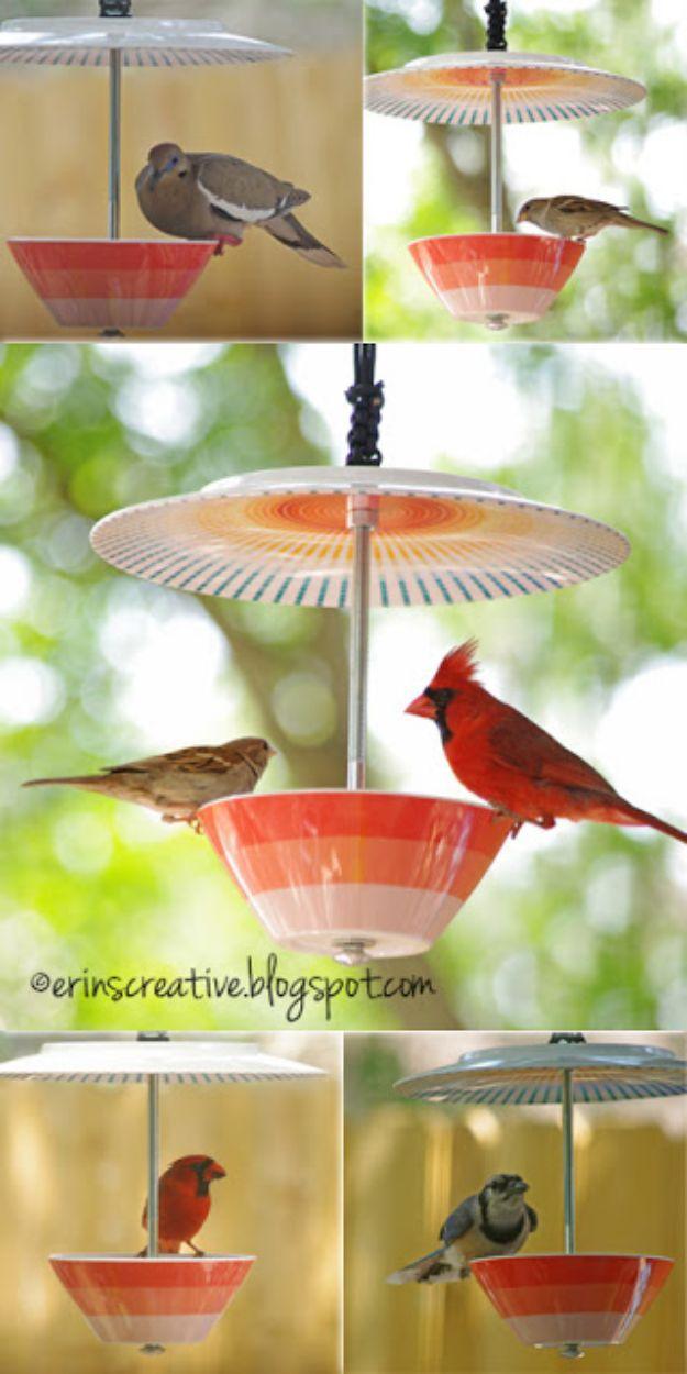 Five panel collage of a melamine bowl and plate bird feeder on a bolt, with a dove, sparrow, cardinal and blue jay feeding