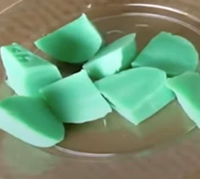 Irish Spring Soap Cubes - Gardening Hack