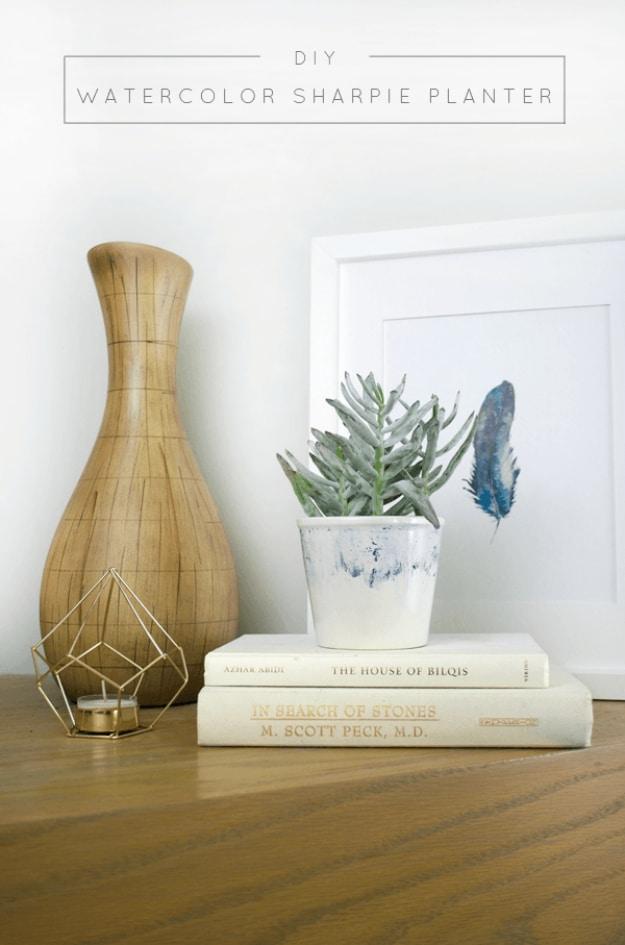 DIY watercolor sharpie planter graphic, a white pot with a soft blue watercolor band holding a small succulent