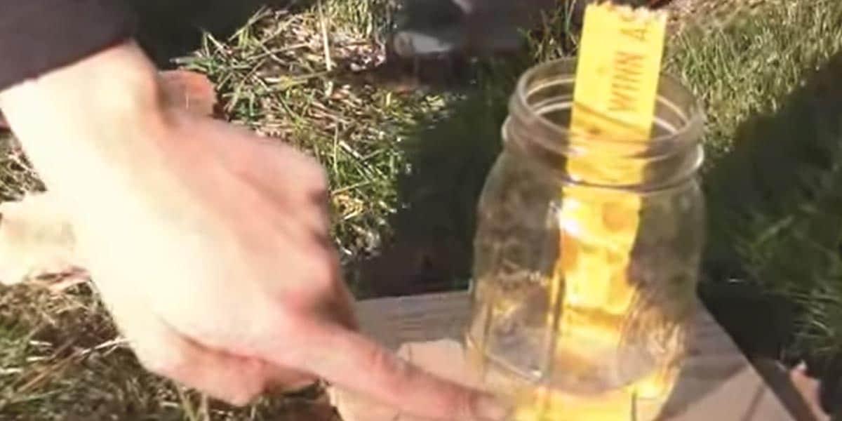 After Getting Rain Every Day, She Took The Bull By The Horns To Track How Much Rain They Got (Watch!)