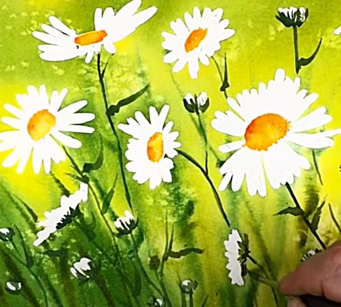 Paint The Stems And Petals Of Daisies With Watercolors
