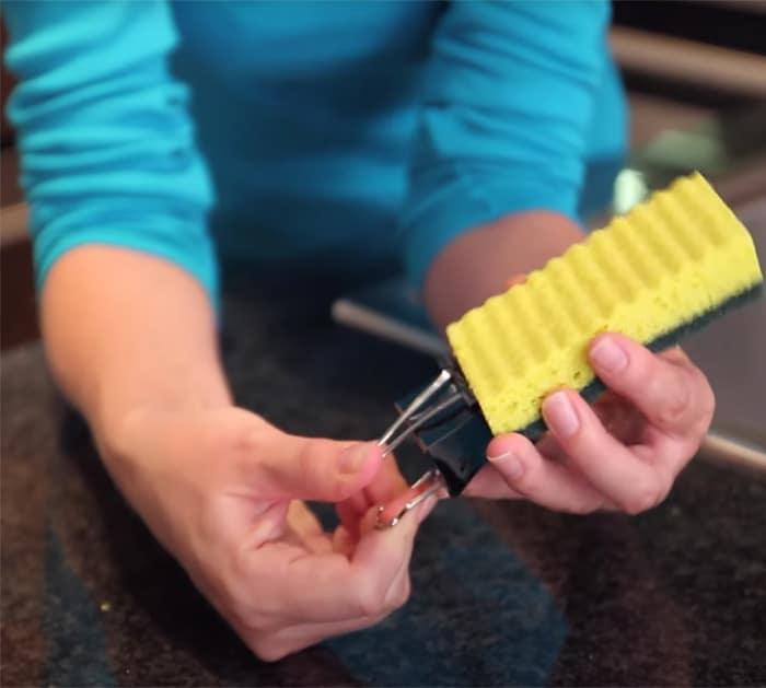 how to clean your sponge from bacteria
