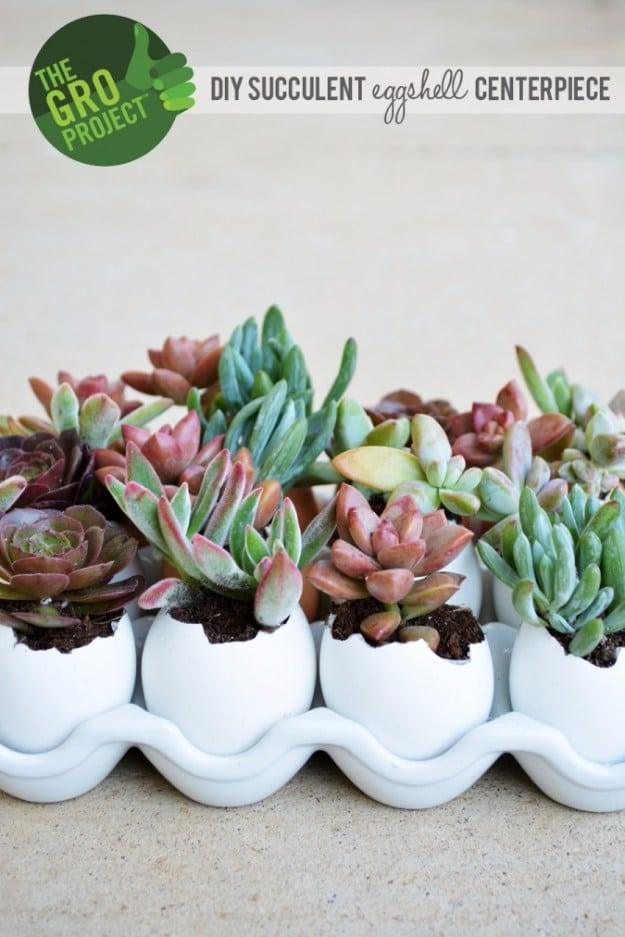 Succulent Eggshell Centerpiece, one of the best picks on this list and a favorite from this collection
