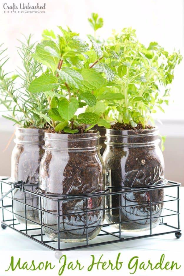 Mason Jar Herb Garden, a fun mason jar craft for summer and a budget friendly summer craft idea and it looks great in person