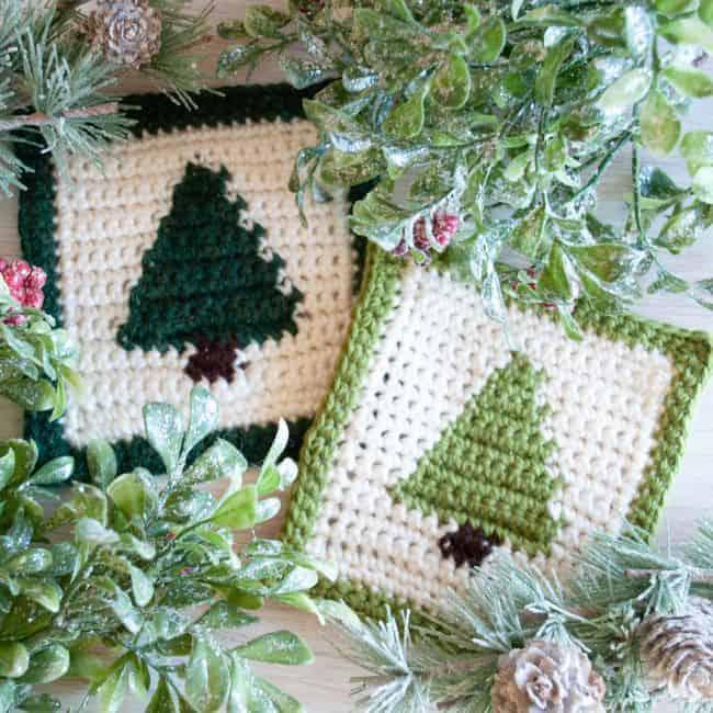 Two square crochet coasters worked in cream with a green Christmas tree motif, laid on wood with frosted greenery