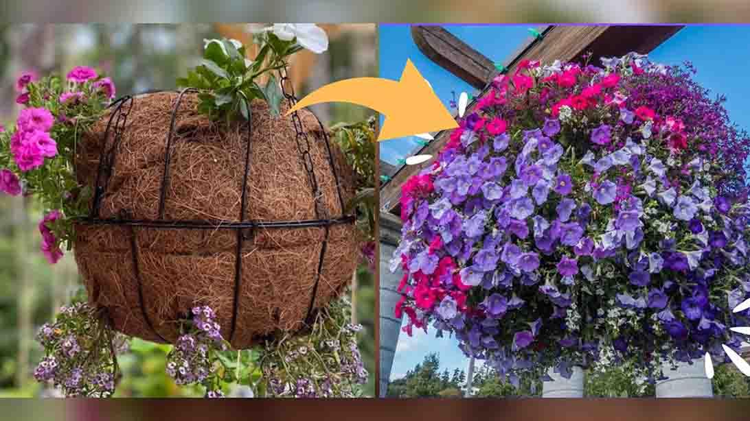 DIY Hanging Flower Sphere Basket Tutorial