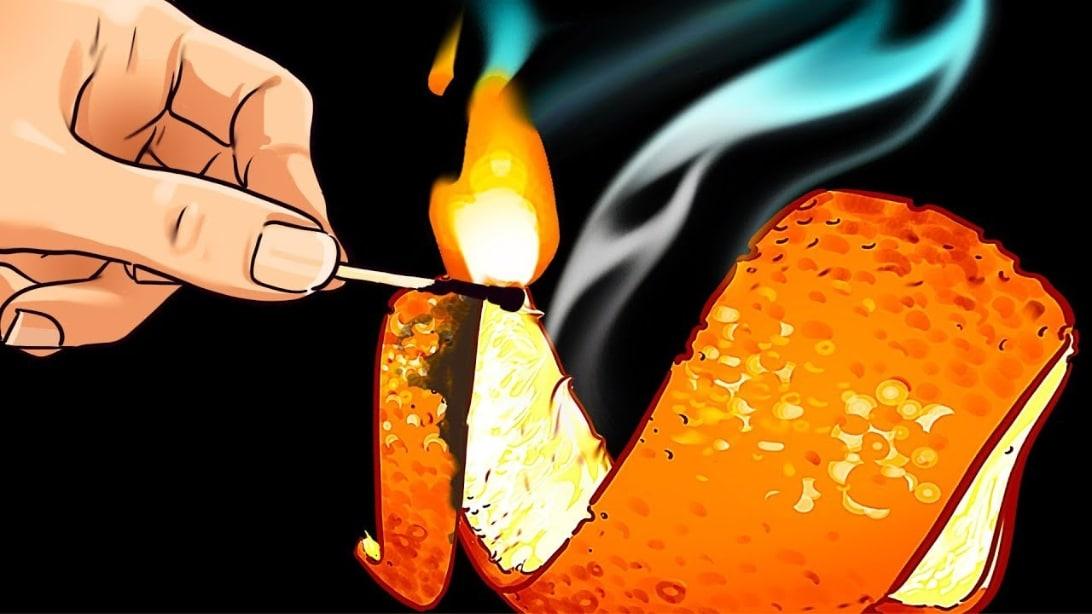 Easy Tricks to Remove Any Odor From Your House
