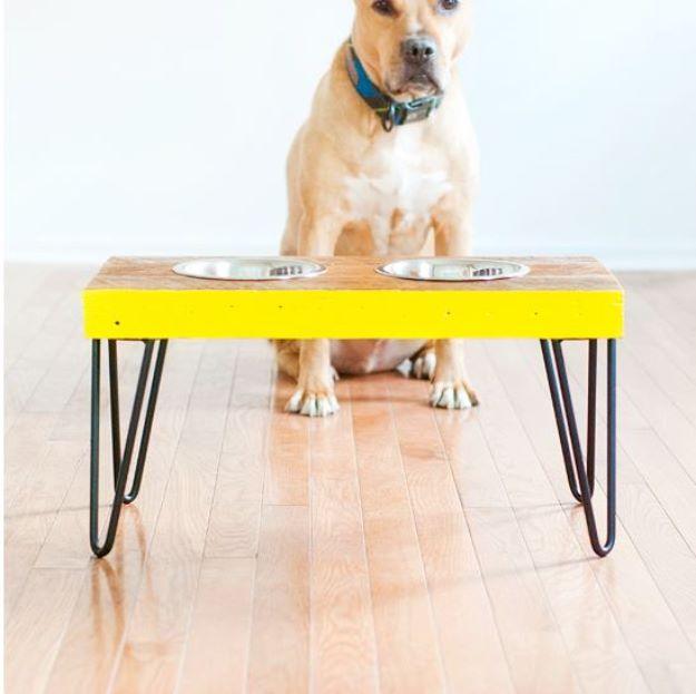 DIY Pet Bowls And Feeding Stations - Elevated Pet Food Station - Easy Ideas for Serving Dog and Cat Food, Ways to Raise and Store Bowls - Organize Your Dog Food and Water Bowl With