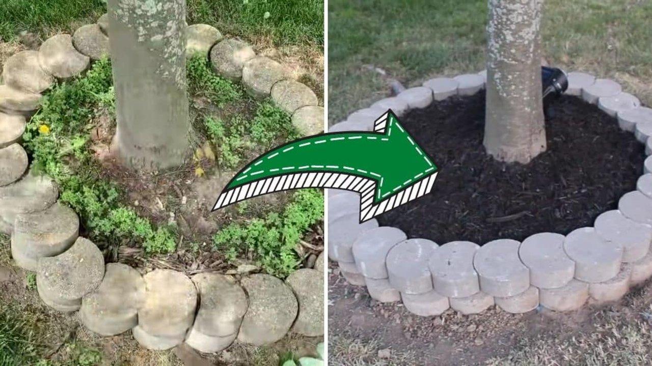 5 DIY Landscaping Tips On A Budget