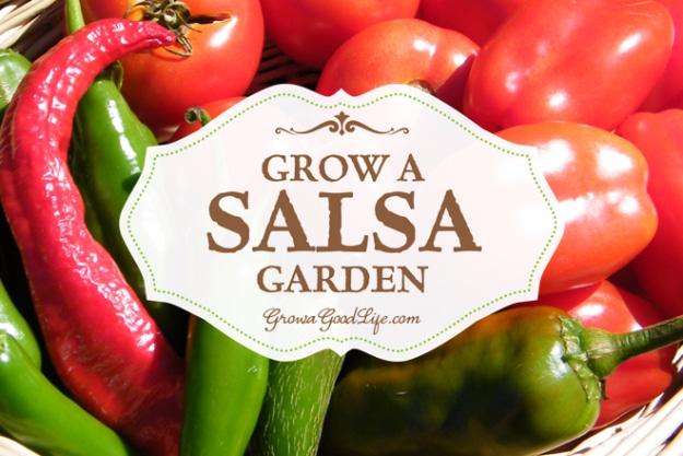 Red and green chilies with plum tomatoes in a woven basket, titled Grow a Salsa Garden GrowAGoodLife.com