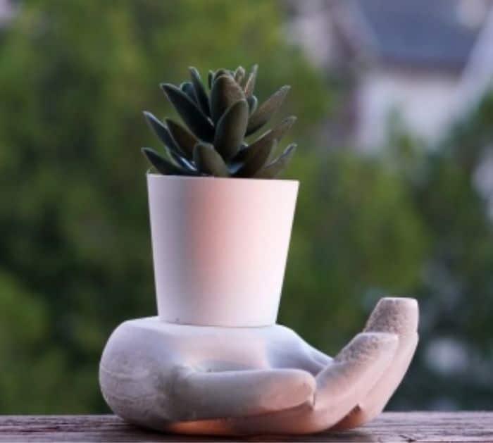 Easy DIY Cement Hand Planter Tutorial