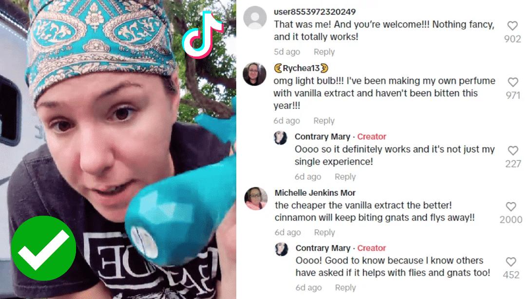 Try This Viral TikTok Hack That Repels Mosquito!