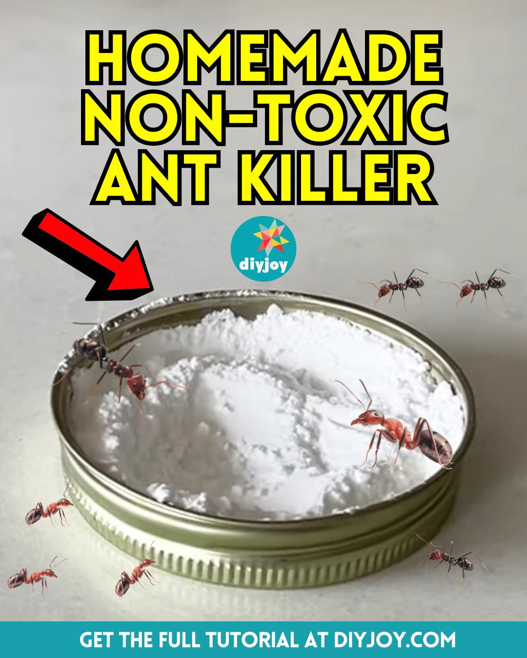 Easy Homemade Non-Toxic Ant Killer Tutorial