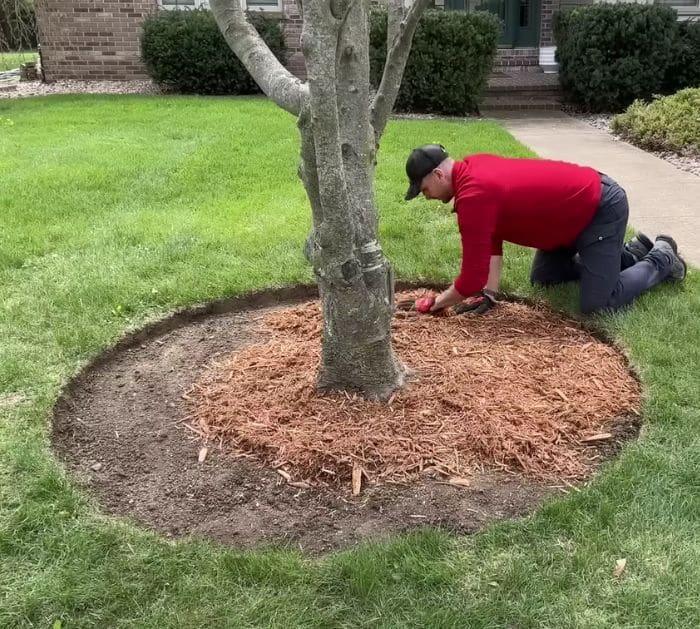 Easy Gardening Tips and Hacks for Beginners