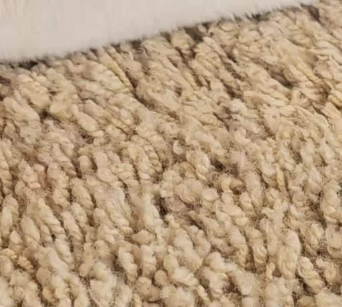 How to Remove Carpet Stains Easily