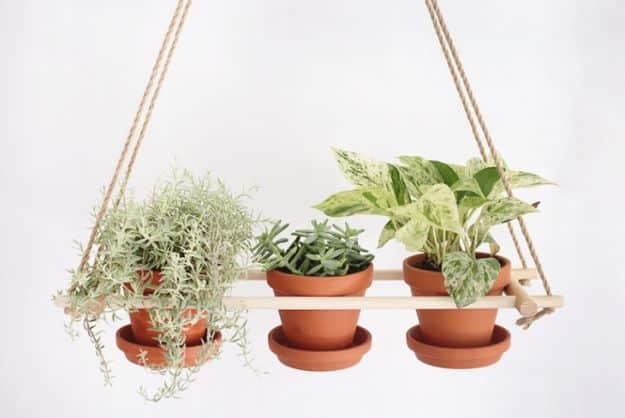 DIY Wood Dowels Hanging Planter, gentle on the budget and the clock alike and a project that earns its spot on a shelf