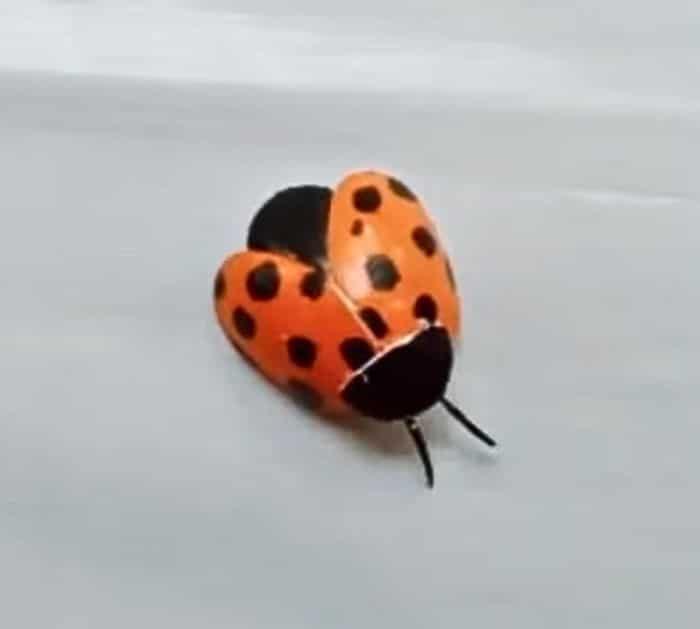 How to Make a Ladybug With Plastic Spoons