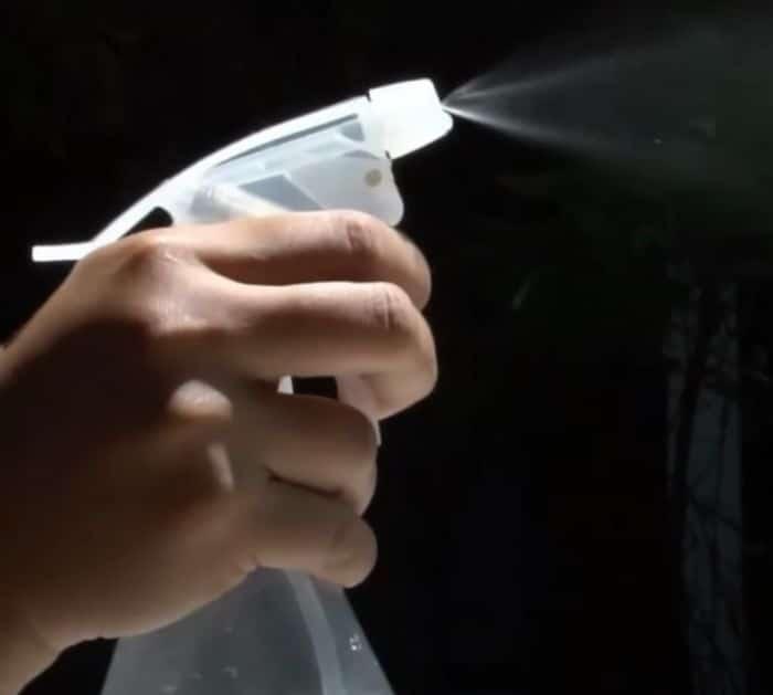 Easy Way to Get Rid of Pests