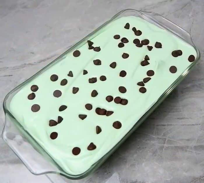 How to Make Homemade Mint Chocolate Chip Ice Cream