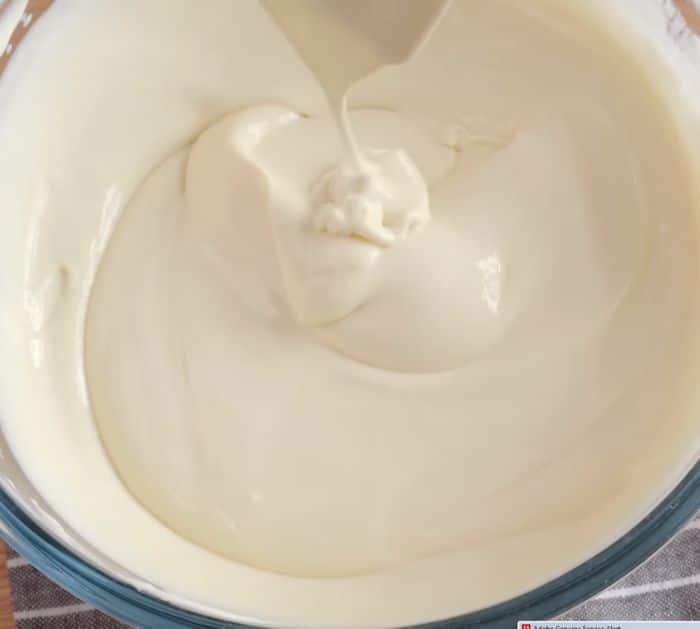 Homemade Creamy Milk Ice Cream Ingredients
