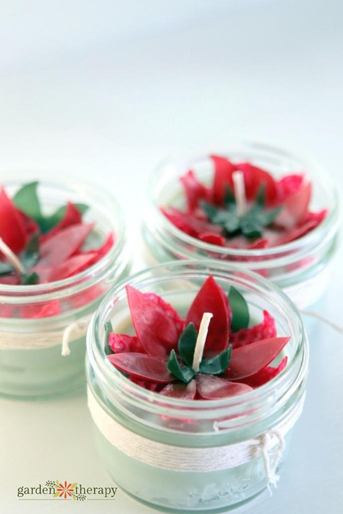 Three small jar candles topped with red and green beeswax poinsettia flowers, twine tied around each jar
