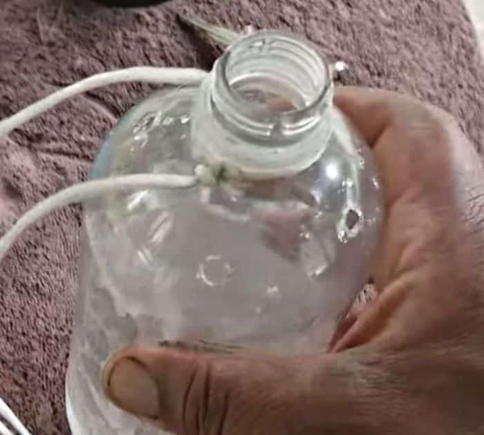 Easy Homemade Fly Trap Tutorial