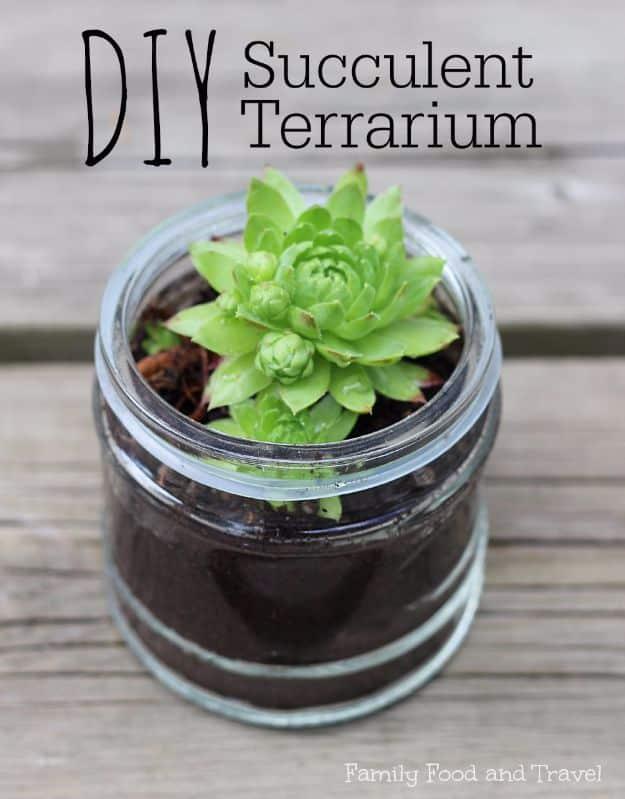 DIY terrarium idea with succulents, a green hen and chicks rosette planted in dark soil inside a clear glass jar