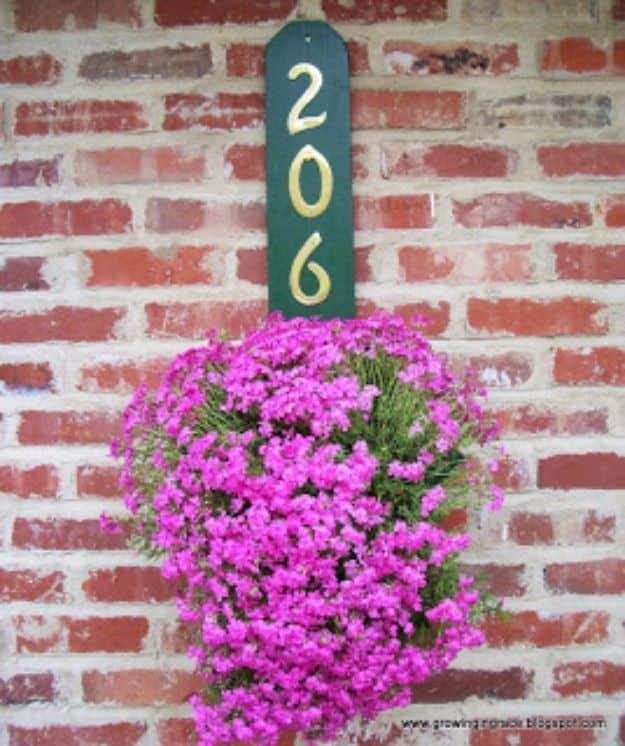 Green house number board reading 206 above a wall planter of bright pink flowers on a red brick wall