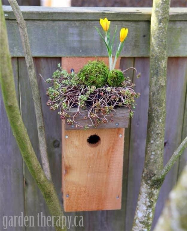 Green Roof Birdhouse, simple to scale to fit almost any space and a nice way to make a plain corner feel finished