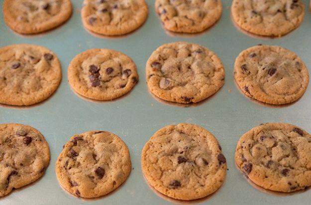 Tray of baked chocolate chip cookies with crackled golden tops cooling on a pale green metal baking sheet
