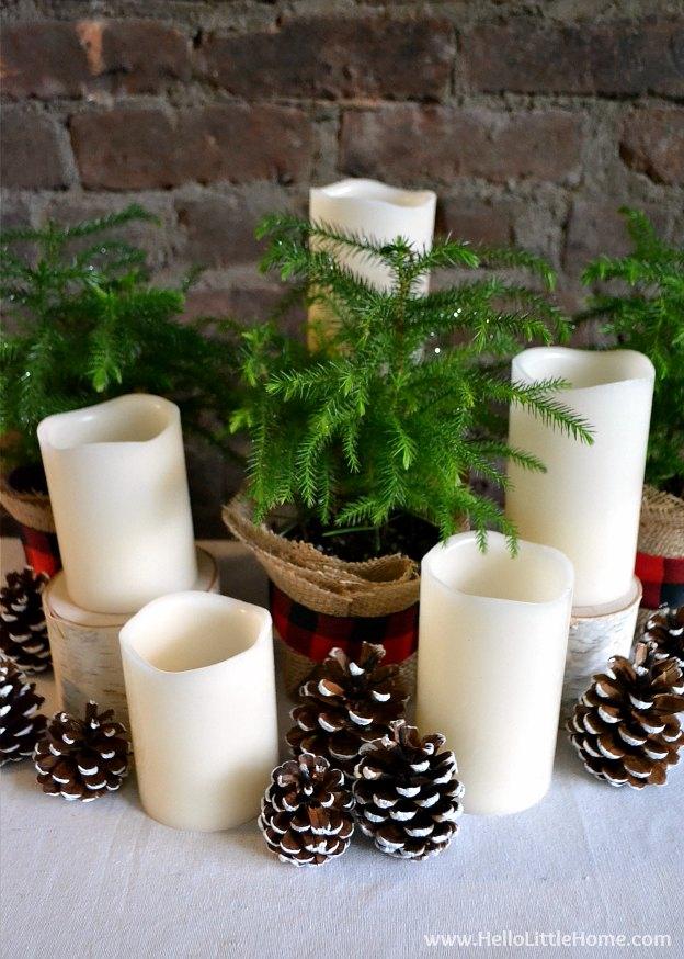 Cream pillar candles on birch rounds among potted mini pines wrapped in burlap and plaid ribbon with snow tipped pinecones