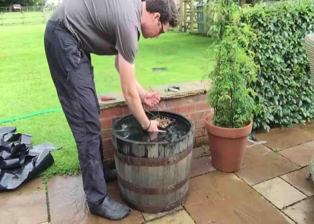 Putting the aquatic plants to the DIY barrel pond