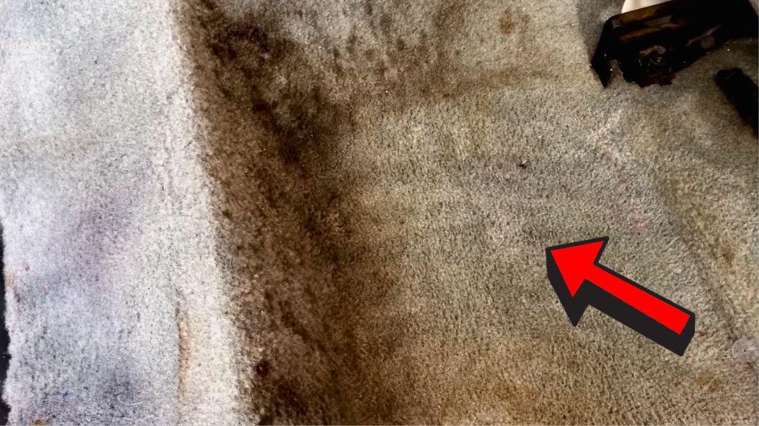 Amazing Way to Clean The Nastiest and Dirtiest Carpet