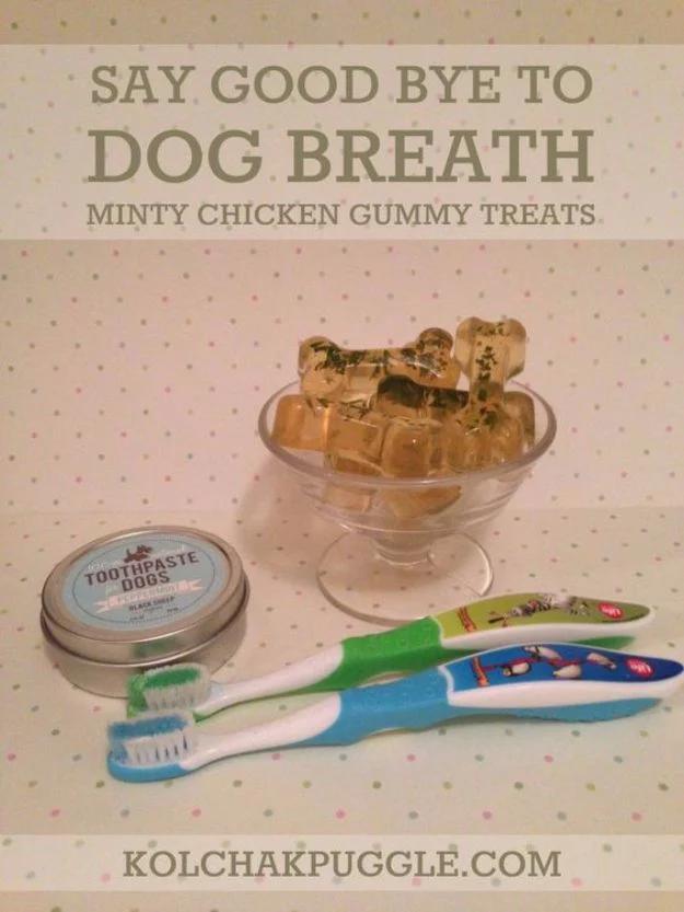 DIY Dog Grooming Tutorials - Dog Teeth Care How to Take Care of Your Dogs Teeth At Home- Cool and Easy Ways to Wash, Groom and Style Your Pets Fur - Trim Toenails, Brush Teeth, Bat