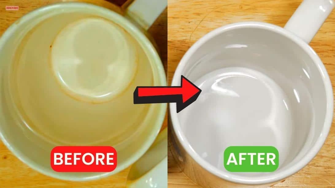 How to Easily Remove Coffee Stains From Mug