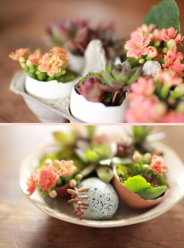 Egg Carton And Shell Succulent Planters, a favorite pick from this roundup and an idea worth saving for later