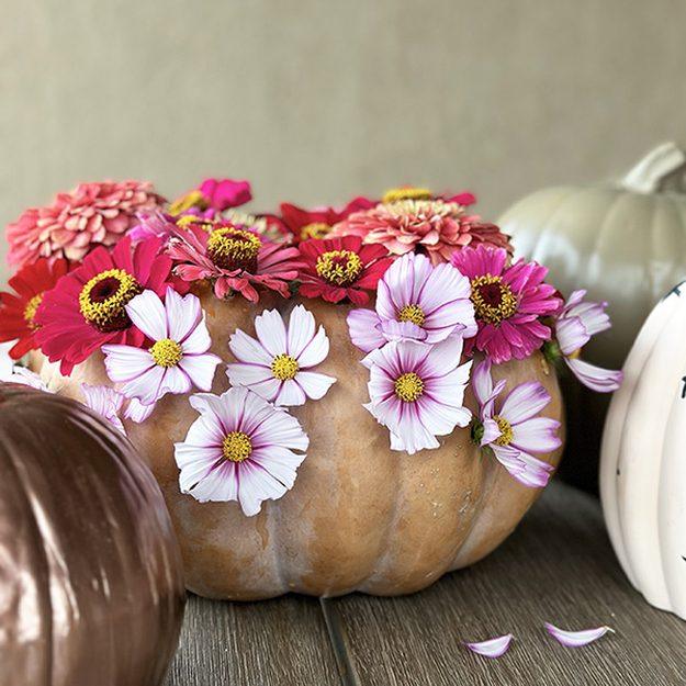Tan pumpkin with pink and white cosmos and zinnias pushed into holes drilled all around the top of it