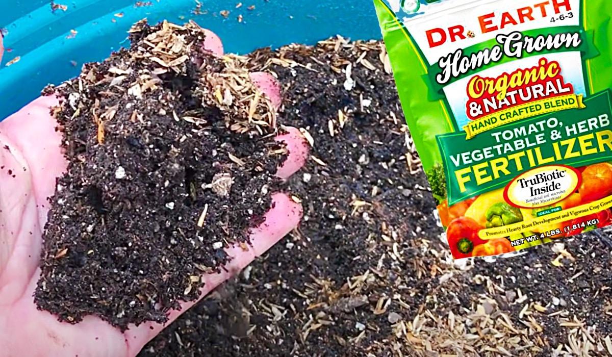 How To Revive Old Potting Soil