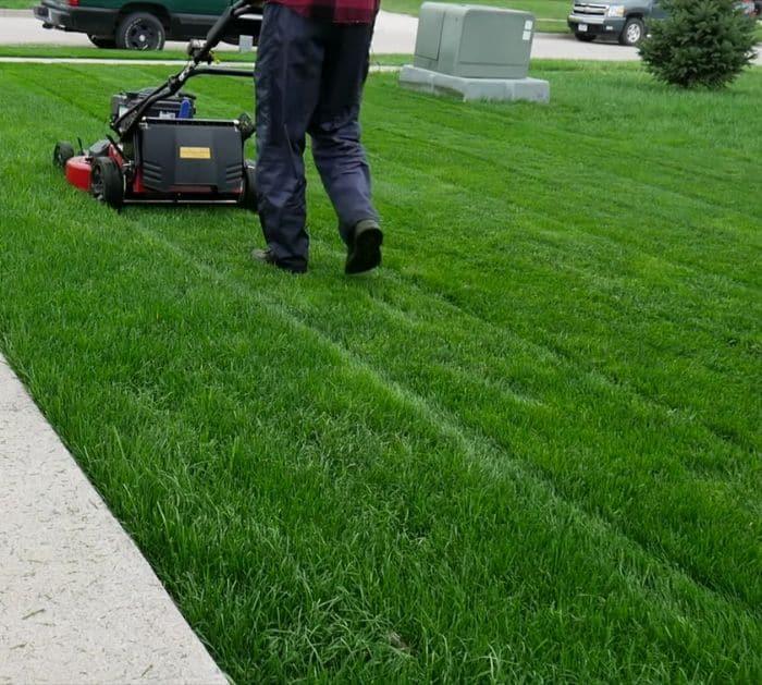 How To Fix Your Lawn Easily