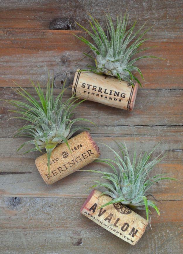 Air Plant Wine Bottle Cork Magnets, a fast weekend build even for a novice and proof a small change makes a real difference