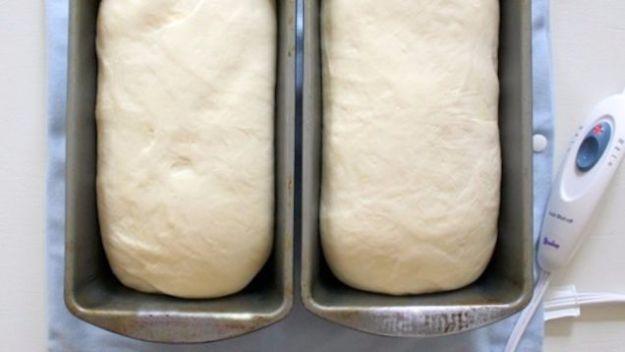 Two loaf tins of risen white bread dough sitting side by side on an electric heating pad with its control cable