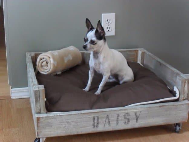 DIY Mobile Dog Crate Bed, a cozy pet nook, fast enough to squeeze into a lunch break and a statement worth the extra effort