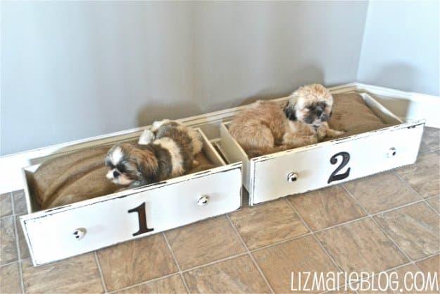 Drawer Dog Beds, compact enough to knock out at the kitchen table and a showpiece guests linger over