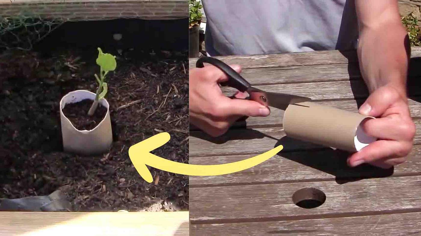 10 Hacks for a Successful Vegetable Garden