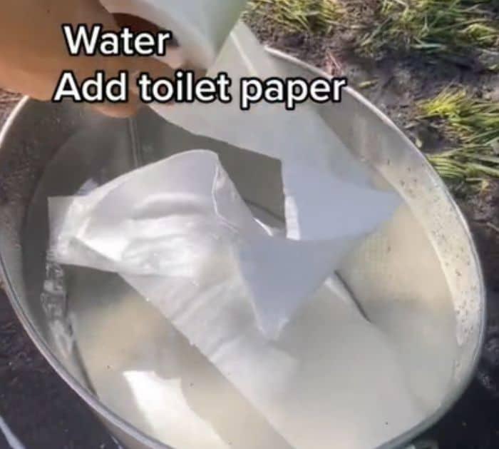 What You Need to Fix Dead Patches of Grass